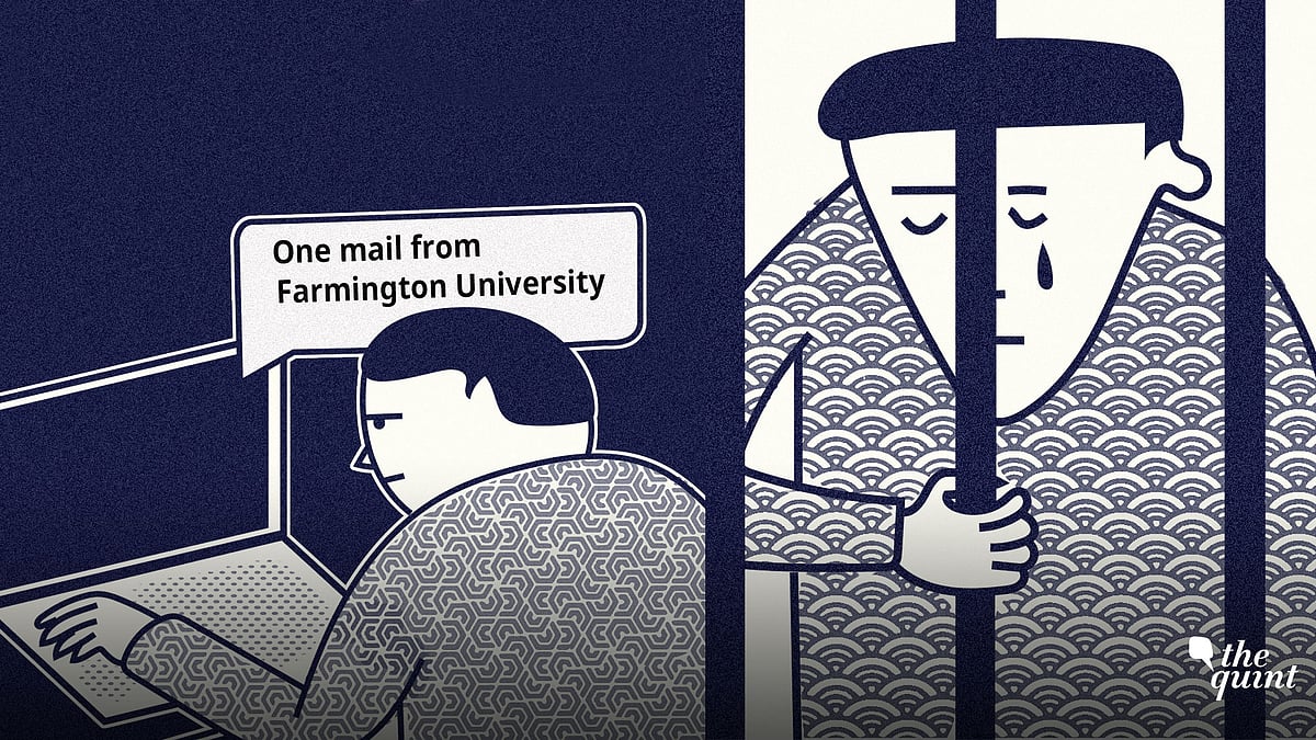 Two Indians deported from the US for enrolling at a fake university tell The Quint how the visa fraud ruined their lives.