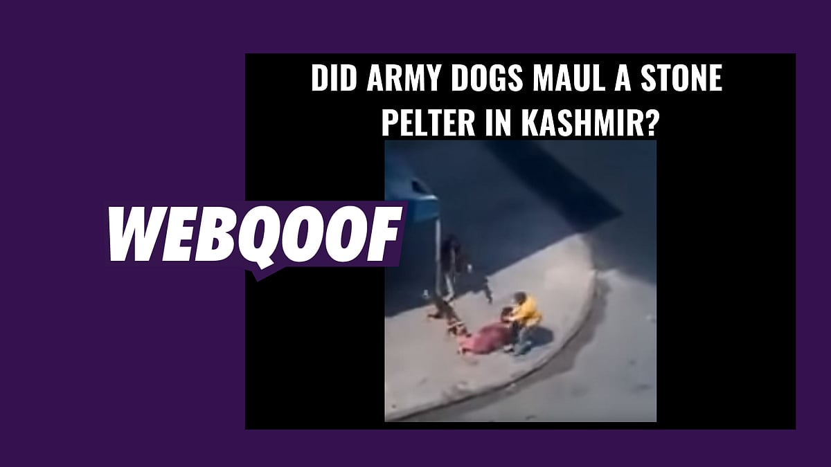 (Photo: Youtube/Altered by <b>The Quint</b>)