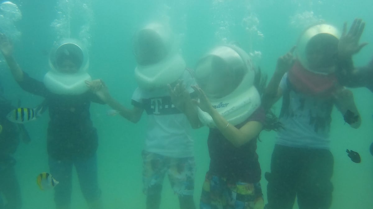 Sea walking is quite like watching a 3D film which was shot underwater, the only difference being, it’s real. You can experience the cold water, see and even feed fishes darting past you. 
