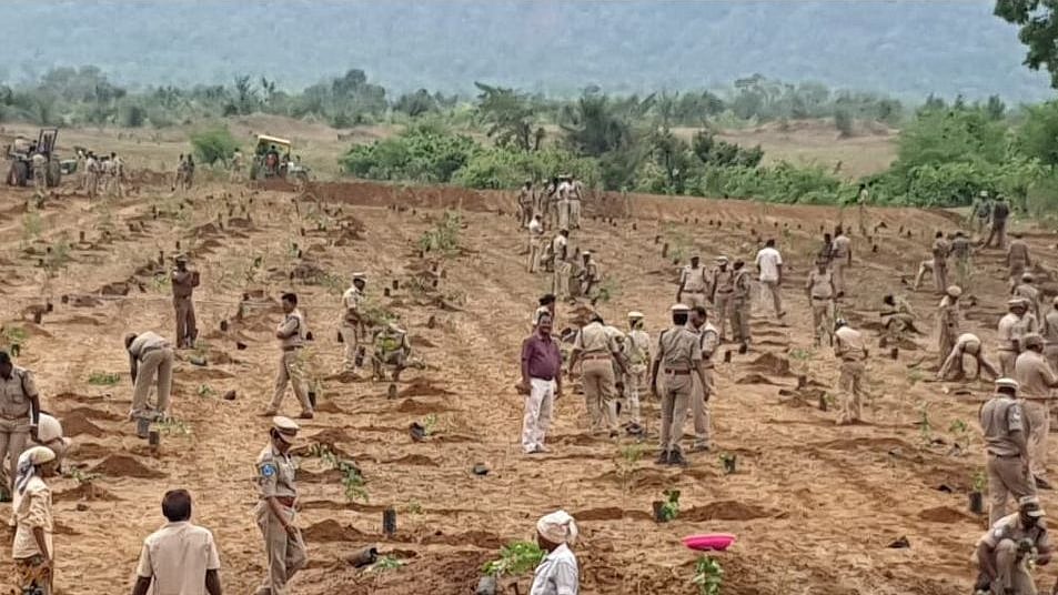 The Telangana Forest Department on Monday carried out a mass plantation drive in Komaram Bheem’s Sirpur Kagaznagar block in Asifabad.