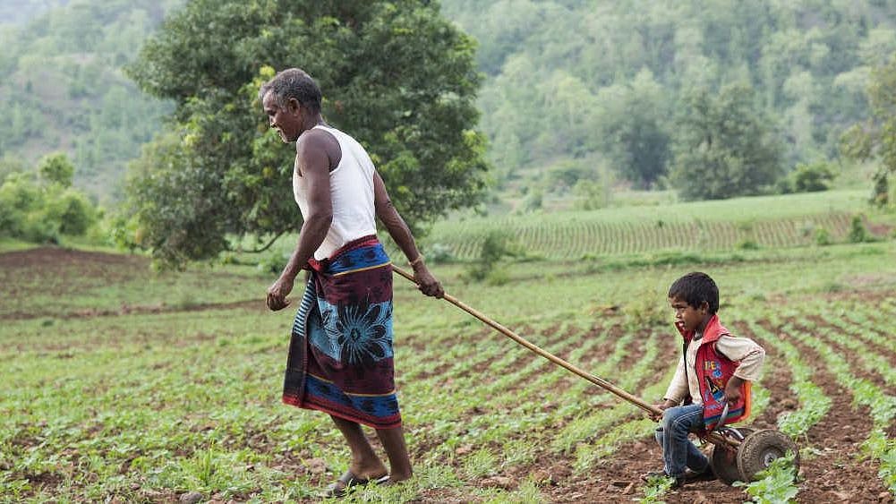 The likelihood of children pursuing the same occupation as their fathers declined for those employed in the low productivity agricultural sector.
