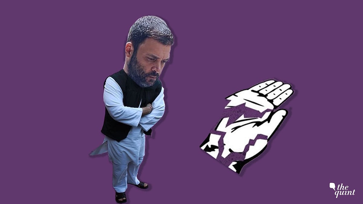 Image of former Congress president Rahul Gandhi, used for representational purposes.