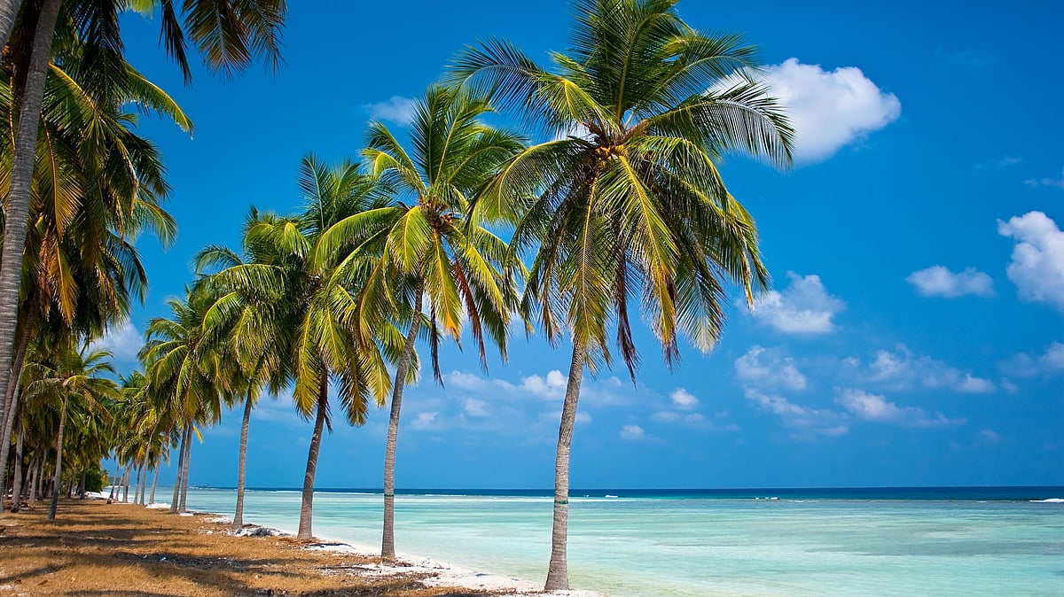 <div class="paragraphs"><p>Entry Denied to Lakshadweep for Kerala MPs of Left and Congress.</p></div>