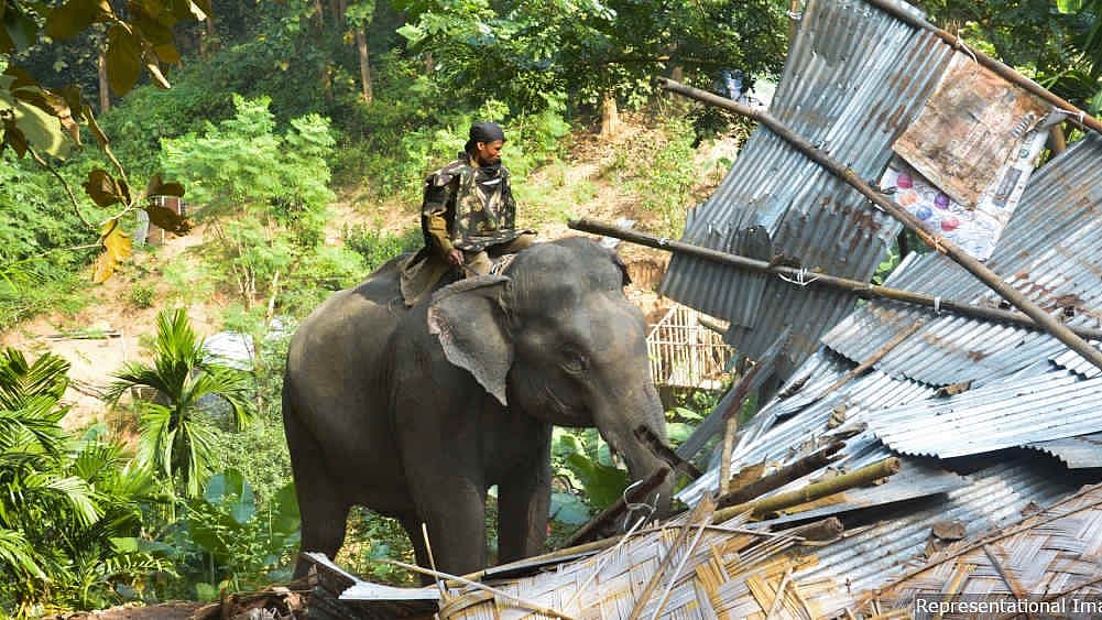 Government ordered the eviction of hundreds of thousands of indigenous people from <a href="https://eparlib.nic.in/bitstream/123456789/520066/1/2276.pdf">150,000 hectares</a> of forest land based on a Supreme Court order.