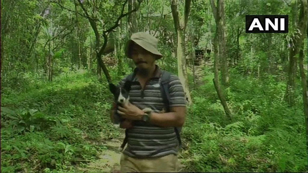 Loiya has been replanting the forest in the 300-acre area for the past 17 years.&nbsp;