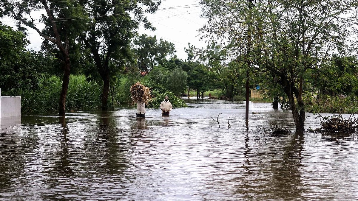 At least 40 people have been killed across Kolhapur and Sangli districts of Maharashtra, over 400,000 evacuated to transit camps, and livestock and crop losses are huge but yet to be properly estimated.