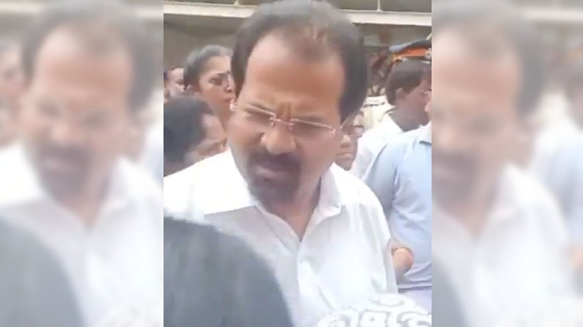 Vishwanath Mahadeshwar denied that he manhandled anybody and rather blamed MNS workers for the incident.