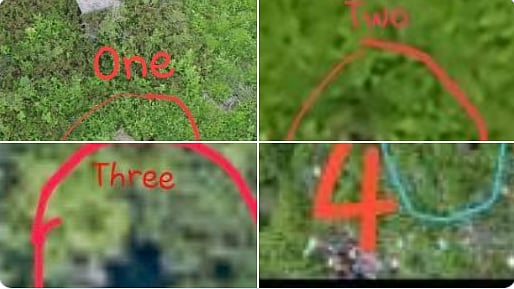 Photos of the bodies still lying at the spot were presented as proof of the attempt by Pakistan. 