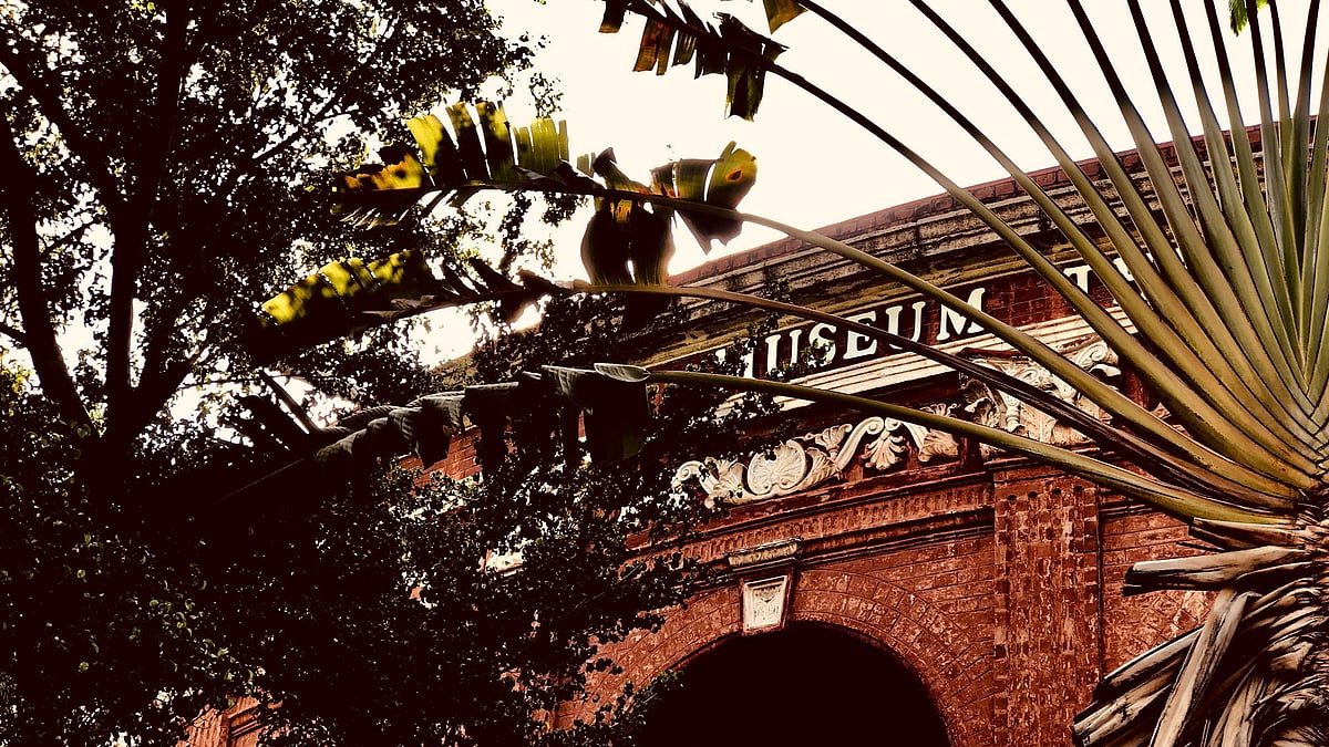 The Egmore Museum in Chennai.