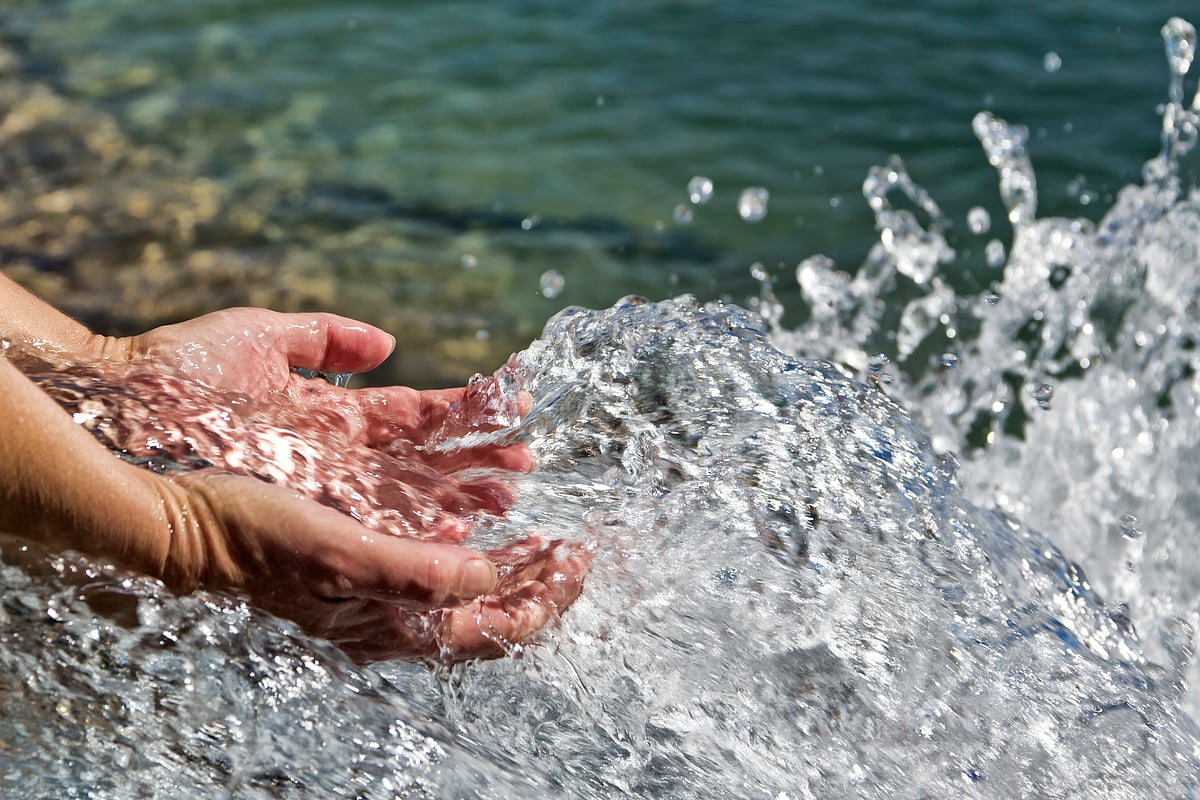 <div class="paragraphs"><p>Here are some quotes on World Water Day 2022</p></div>