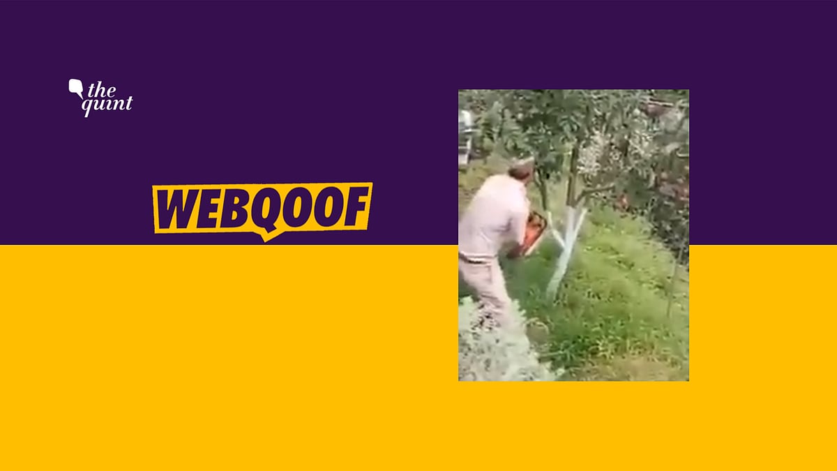 A viral video falsely claimed that Indian soldiers cut trees in Kashmir.