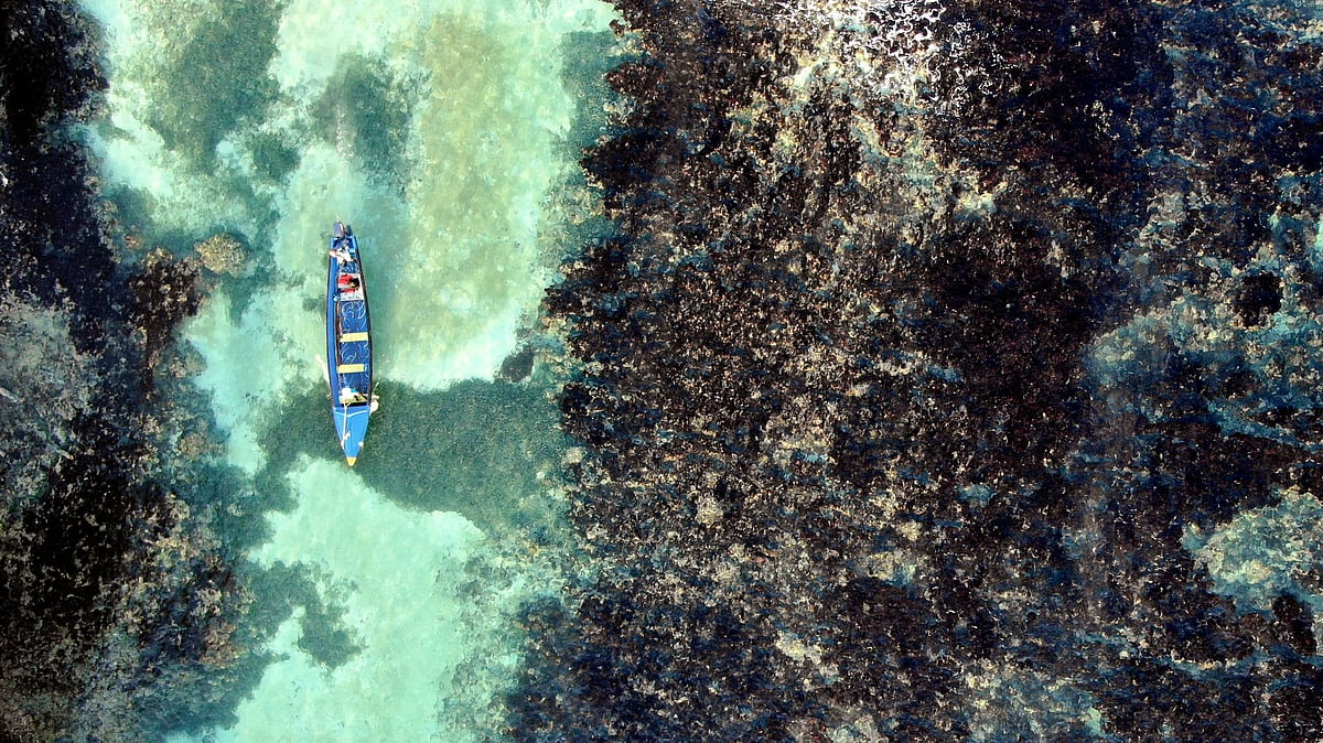 White River Fish Sanctuary wardens patrol through the reef of the sanctuary’s no-take zone in Ocho Rios, Jamaica. 