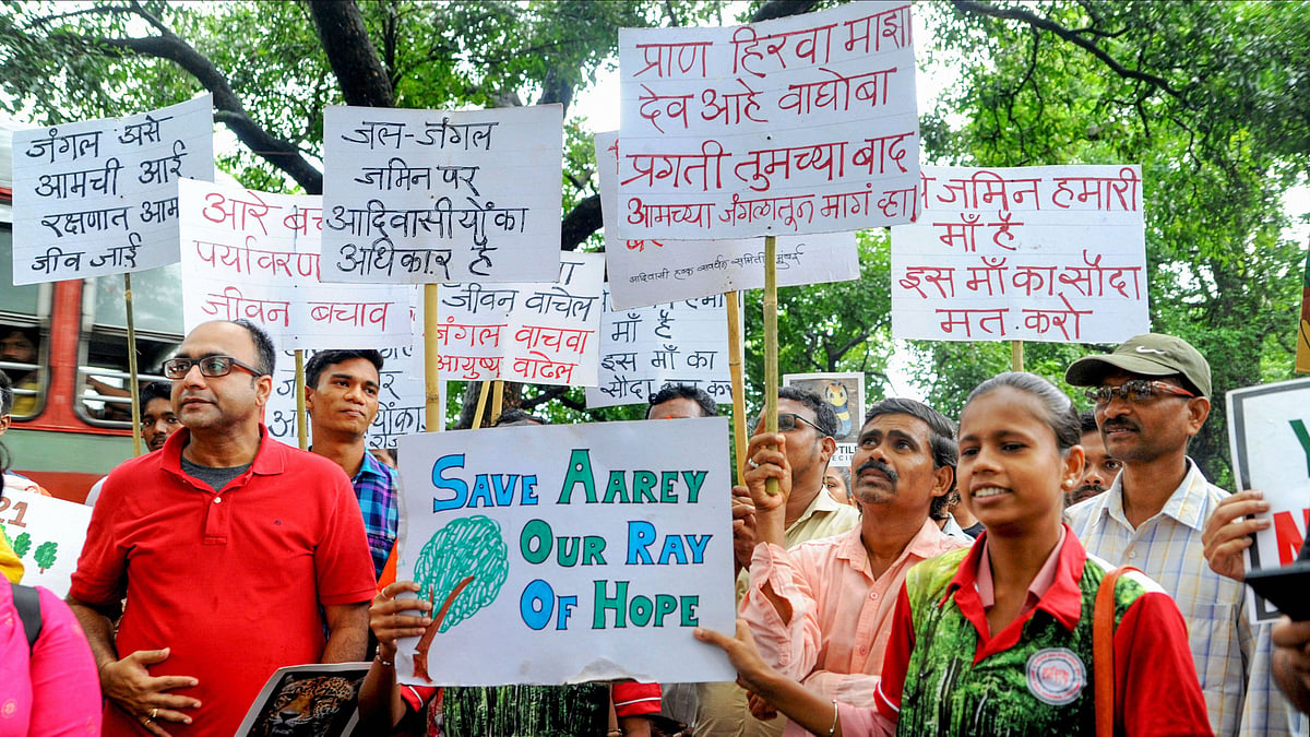 The Tree Authority had earlier approved the MMRC’s request to cut trees for a car shed in Aarey colony.
