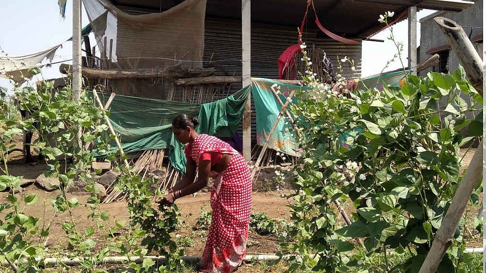 .Women in India rarely own the land they till. This costs them access to government programmes and benefits, and leaves them economically and socially insecure.