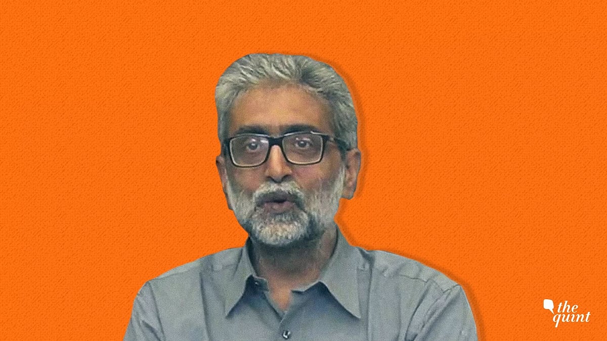 Civil liberties activist Gautam Navlakha.