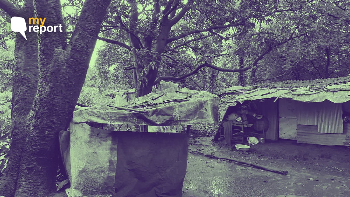 I decided to go to Aarey forest and speak to some Adivasis, who have been residing there since generations.