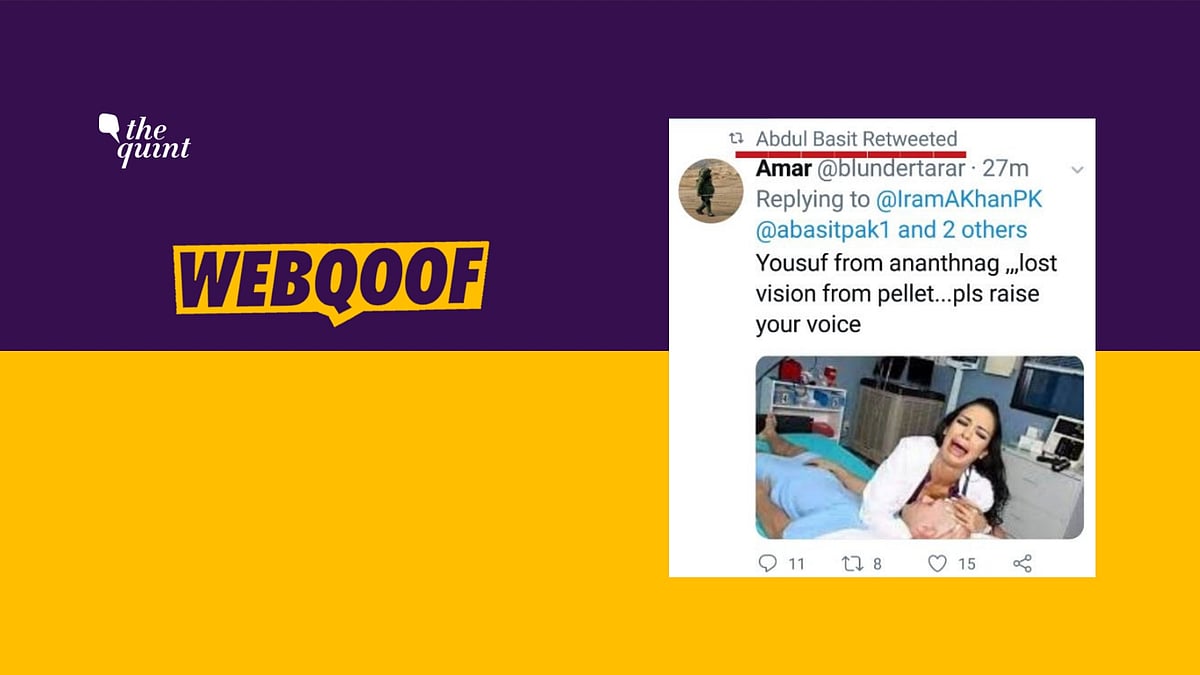 Former Pakistani Envoy to India Abdul Basit mistook porn star Johnny Sins for a Kashmiri pellet victim.