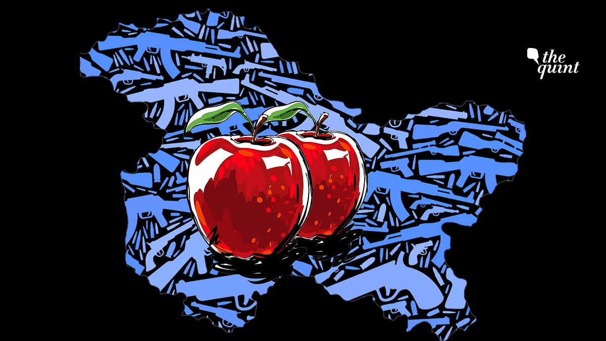 Kashmir After 370: It is Kashmir’s apple story that looks bigger than any other story in the region at the moment, believe it or not.