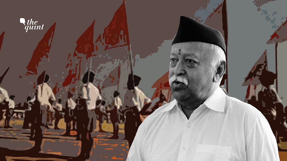 <div class="paragraphs"><p>RSS Chief Mohan Bhagwat.</p></div>