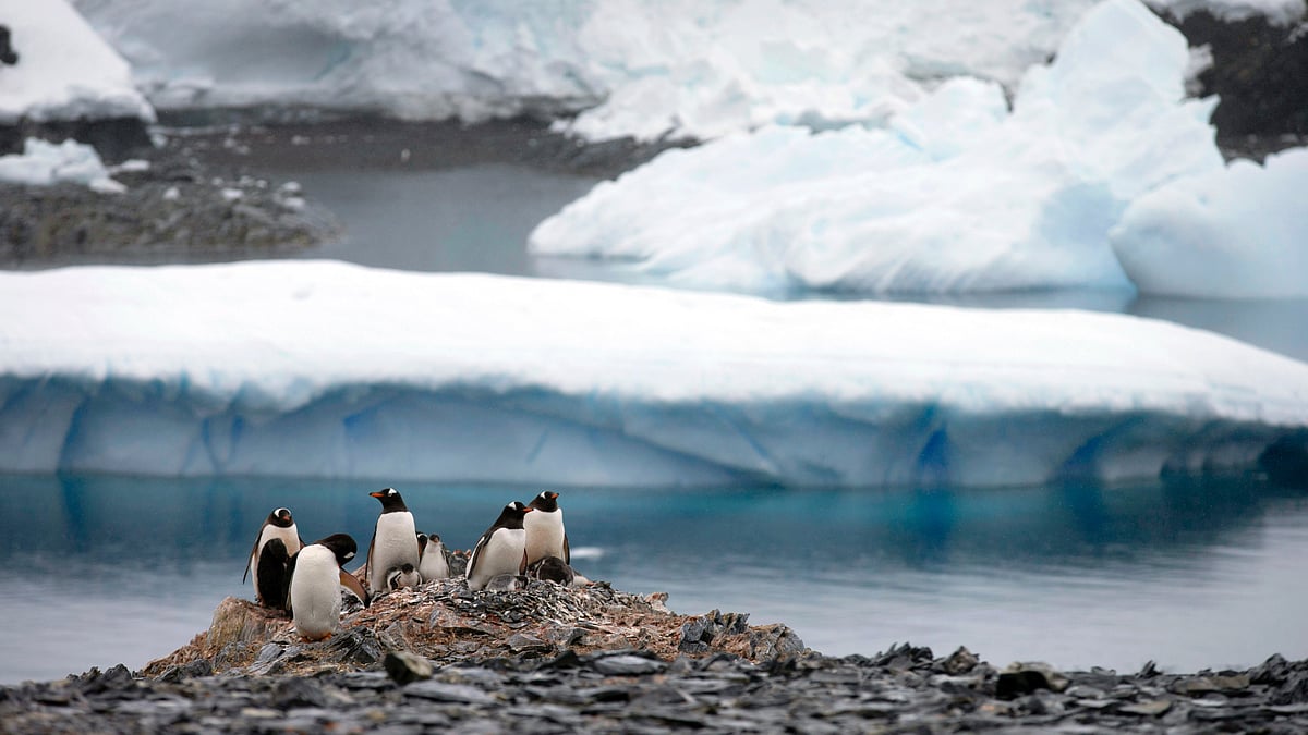 <div class="paragraphs"><p>Some Climate Tipping Points may already have been triggered. </p></div>