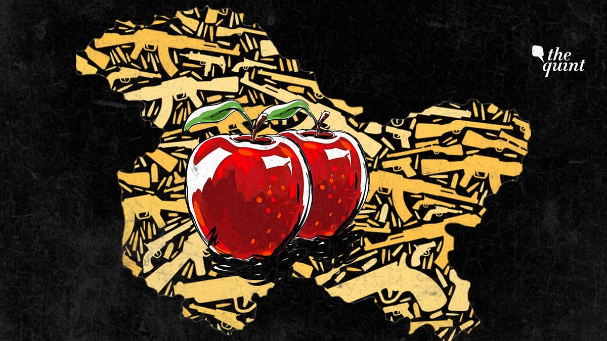 Militants kill truck driver transporting apples in Shopian: In a calibrated move, this attack aims to puncture the “normalcy” narrative of the government.