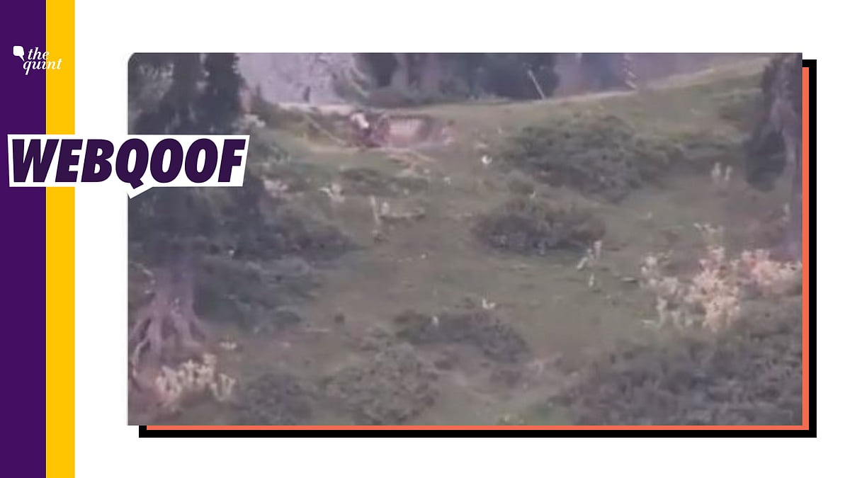A viral video falsely claims that Pakistan army killed 10 Indian Soldiers at the LoC
