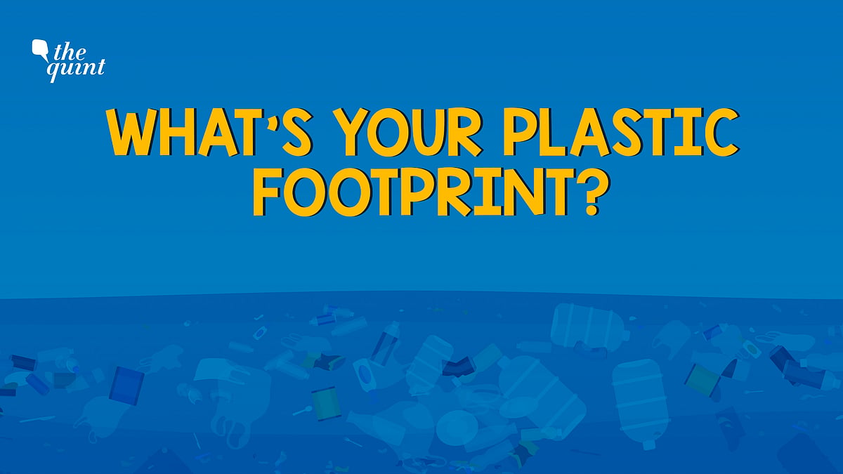 How much single-use plastic waste do you add to the environment? Take this test to find out.