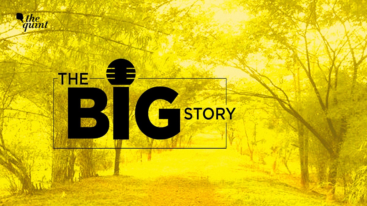 The Aarey Colony spread over 1,287 hectares is a greenbelt in Mumbai’s Goregaon suburb.