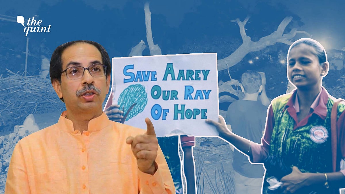 Maharashtra CM Uddhav Thackeray has approved shifting of the metro car shed from Aarey to Kanjurmarg in Mumbai.