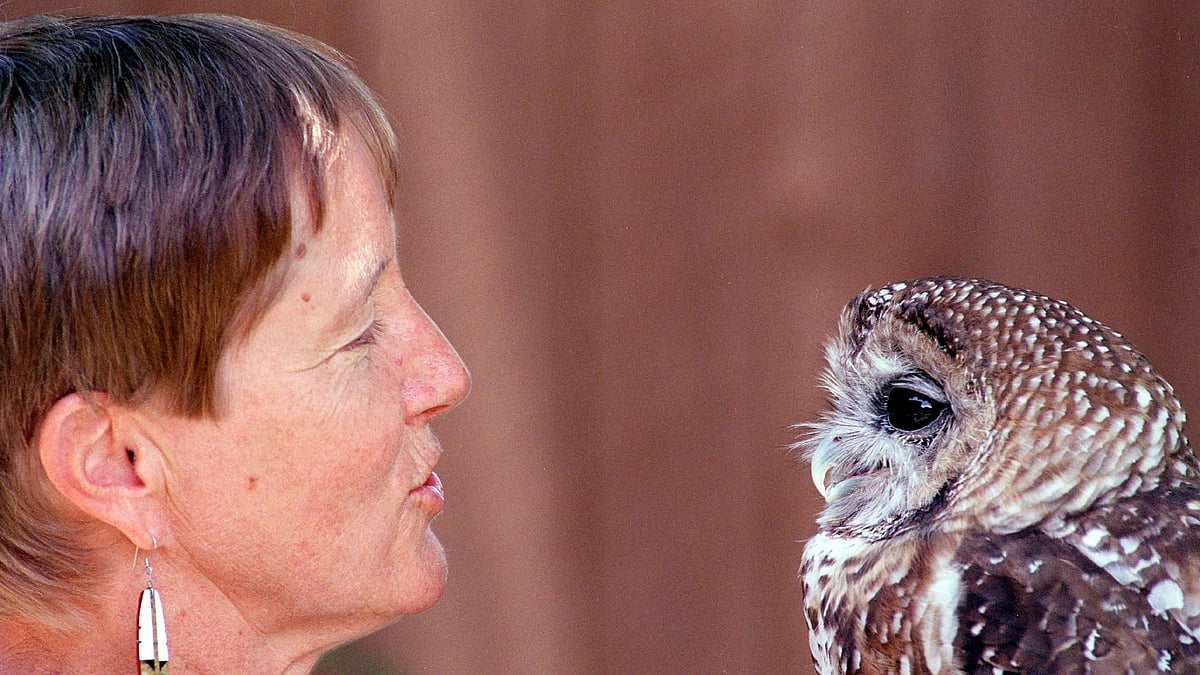 Its believed that Barred owls competed with Spotted owls for food and space thus displacing them in some areas.