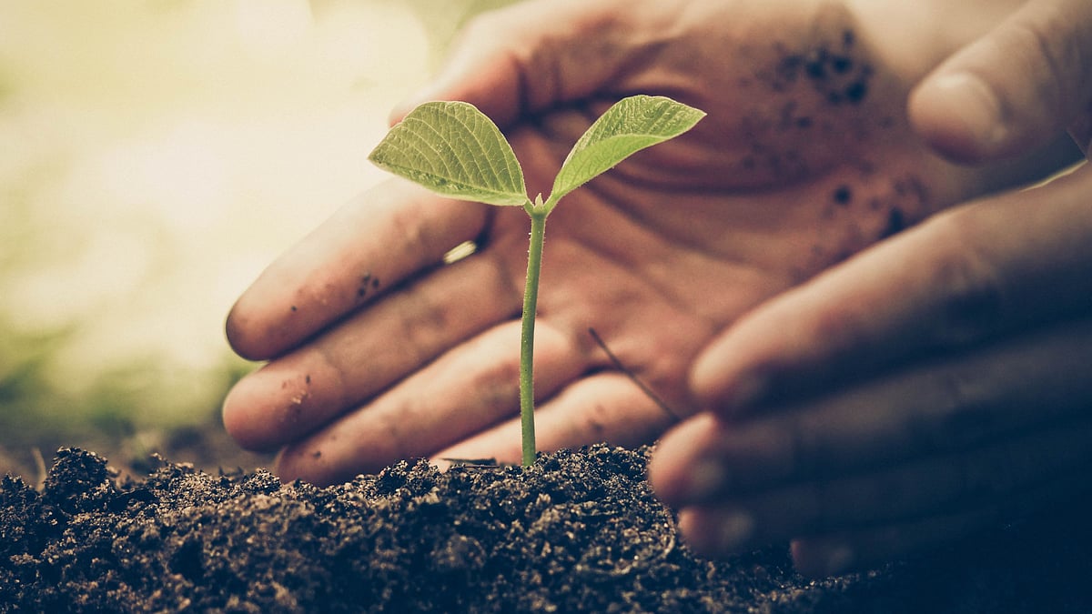 Adding plants and trees to the landscapes near factories and other pollution sources could reduce air pollution by an average of 27 percent.