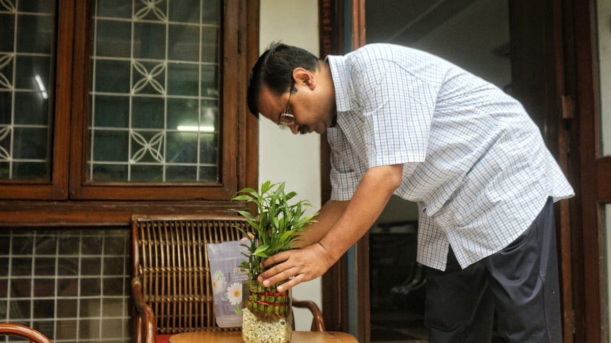 CM Arvind Kejriwal inspecting for standing water in his own house. 