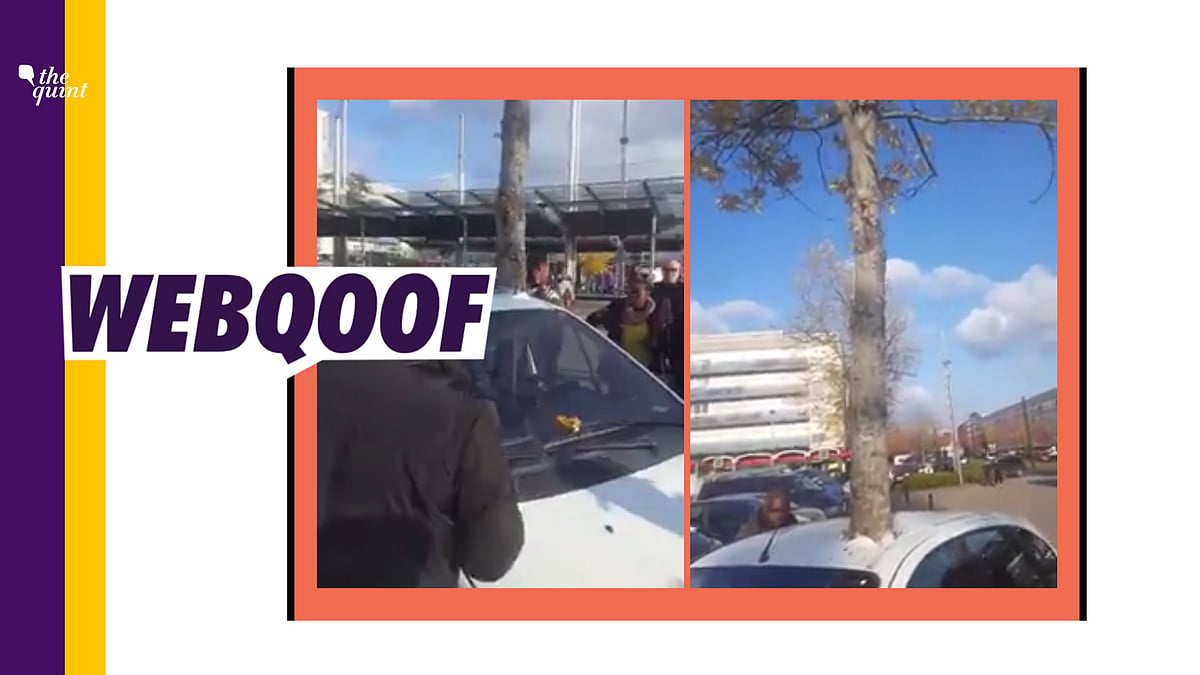 A video is being circulated with the false claim that a tree sprouted in a car in France.