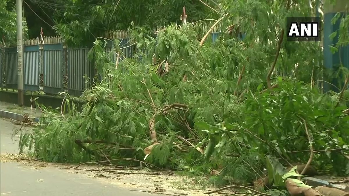 Cyclonic Storm ‘Bubul’ made its landfall in West Bengal on Saturday, 9 November uprooting trees and damaging hoardings. The cyclone furthered to Bangladesh on Sunday, 10 November. 