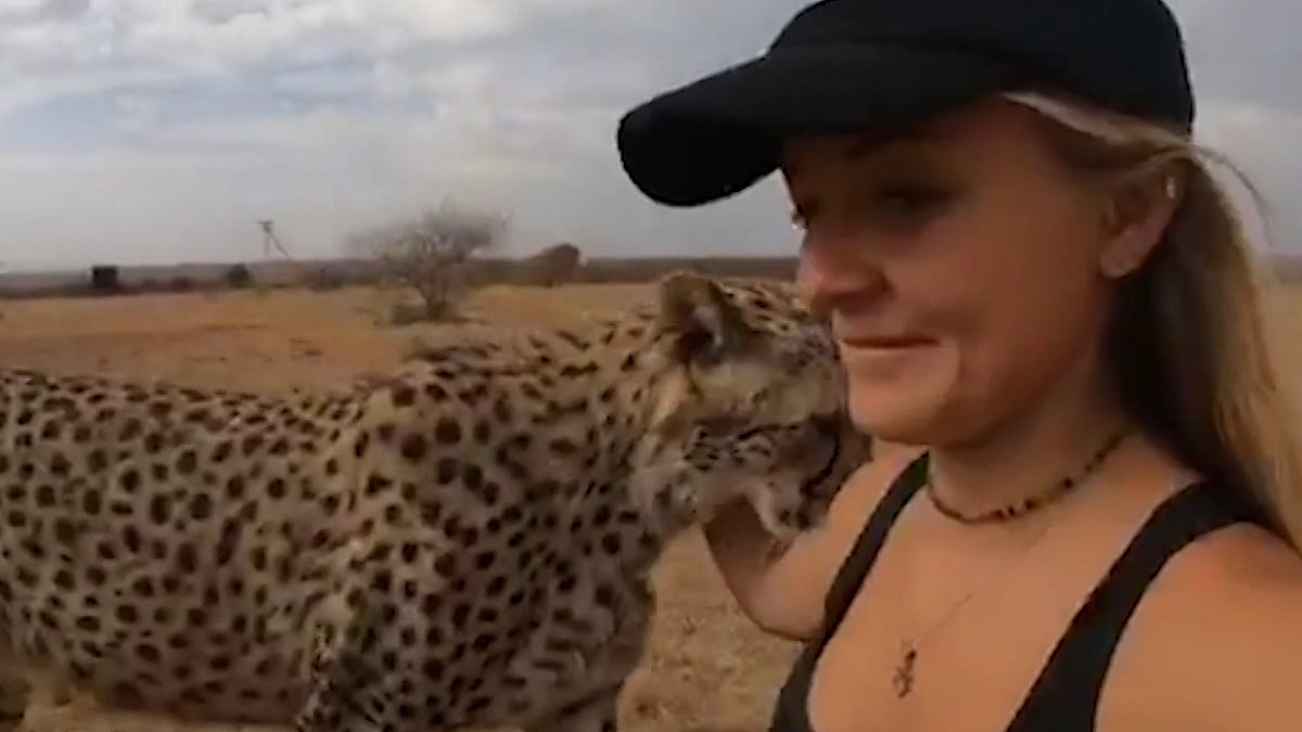 Kristen Kerr, 21, has spent her entire life caring for wild animals after being born on an animal sanctuary.