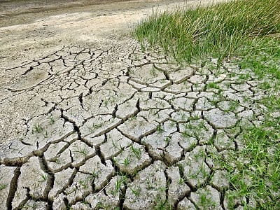 Climate Change.