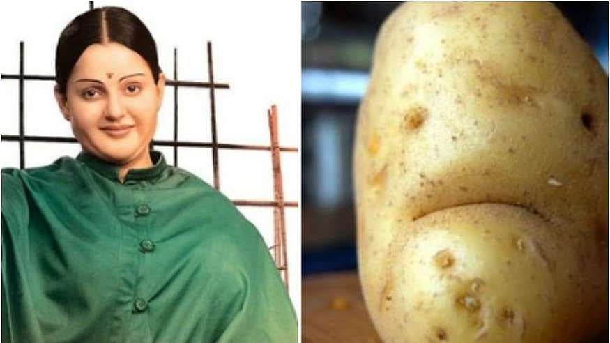 Memes about Kangana’s next <i>Thalaivi</i> flooded the internet.