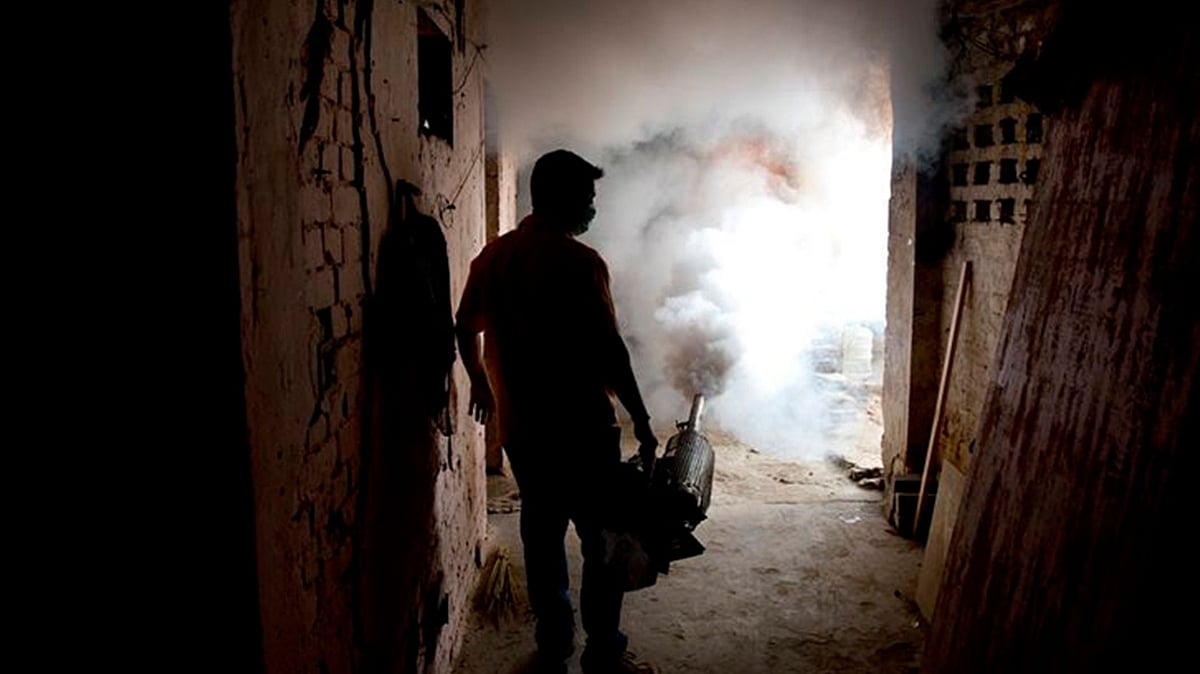 It is too early to say whether Delhi has defeated dengue for good, say experts.