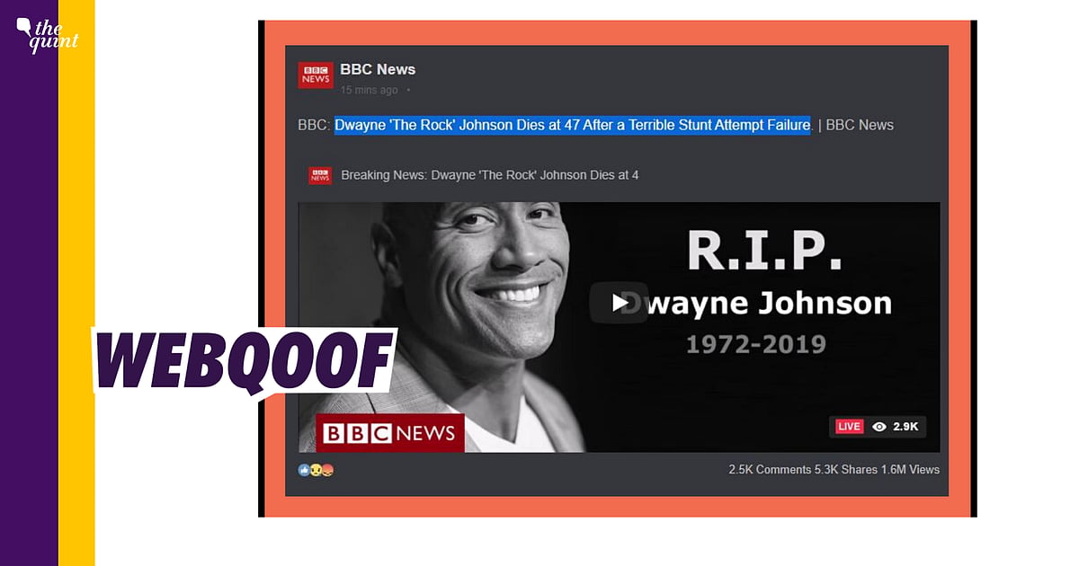 Image accompanying Dwayne Johnson died while performing a stunt