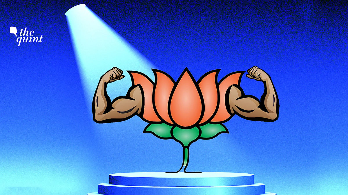 Image used for representational purposes.
