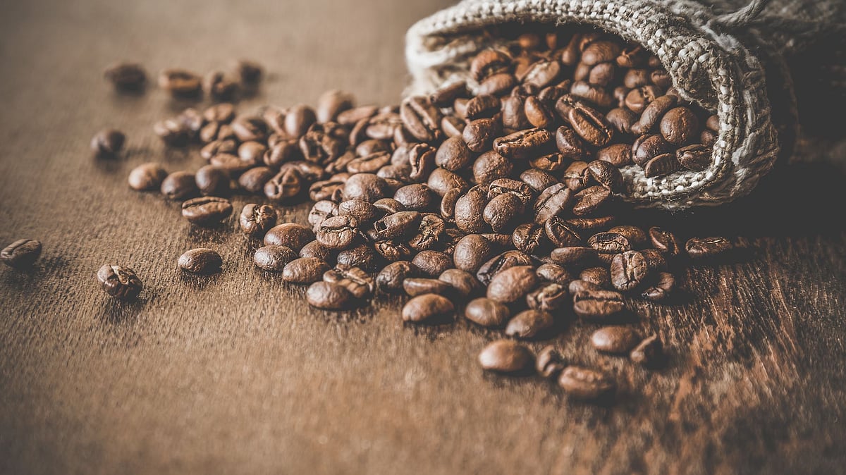 Caffeine can be a good element to reduce obesity and excess weight