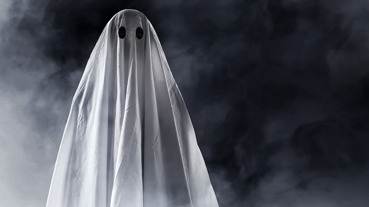 Will Bhoot Vidya legitimise superstition or can it expand the reach of mental health services?&nbsp;