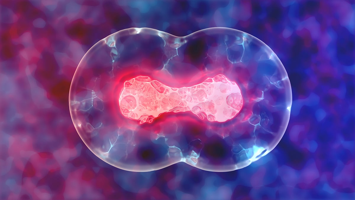 Fluorescent colour is used as a ‘barcode’ to visualise human colon cancer-causing mutations in mice.