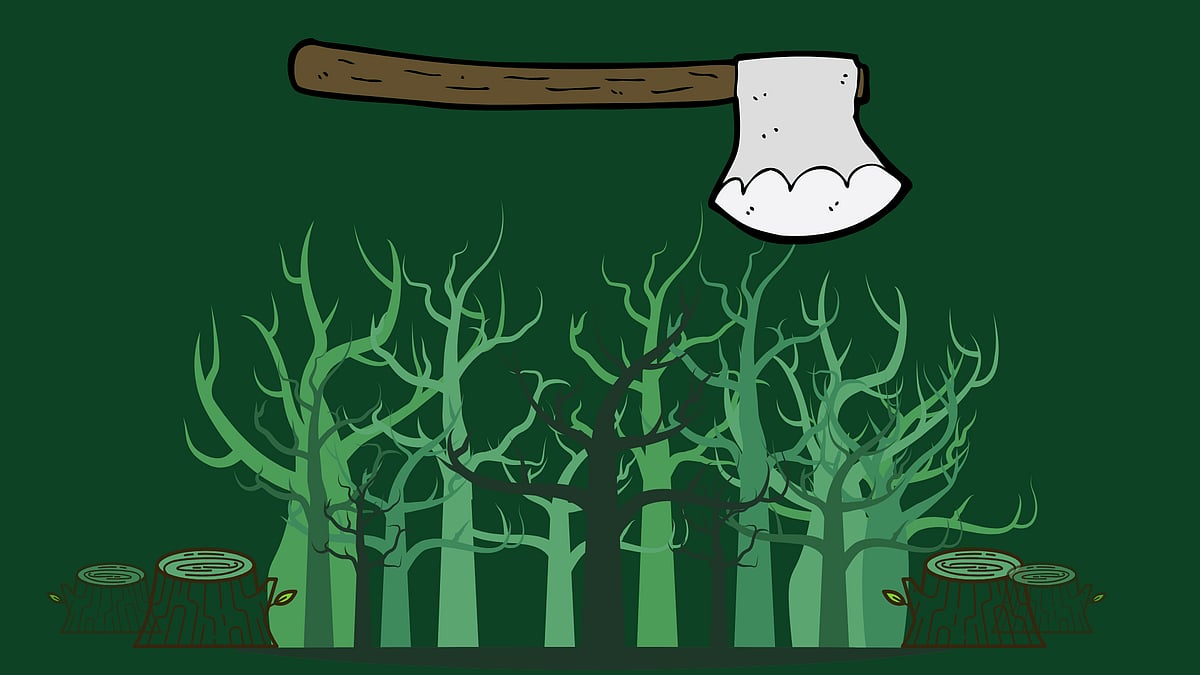 In the Talabira village of Odisha’s Sambalpur district, around 40,000 trees have been cut to make way for a coal mine.