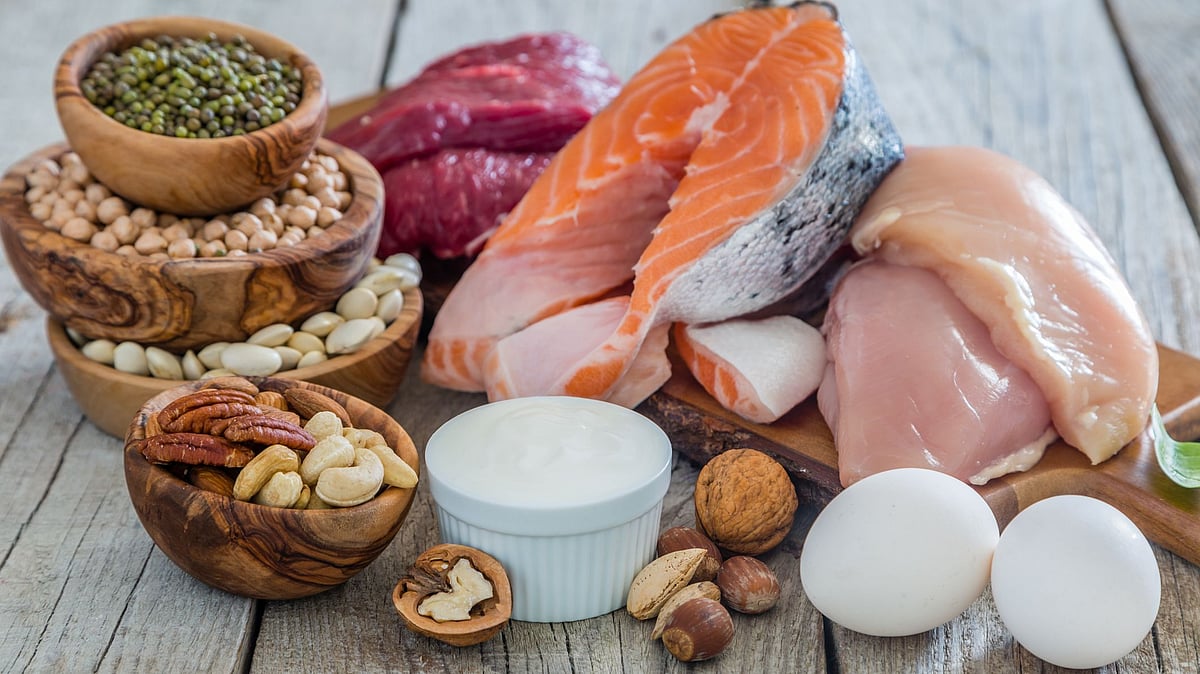 <div class="paragraphs"><p>Protein is an essential nutrient that helps build and repair tissues in the body. </p></div>