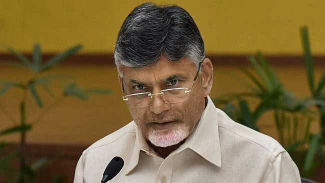 <div class="paragraphs"><p>File image of N Chandrababu Naidu.</p></div>