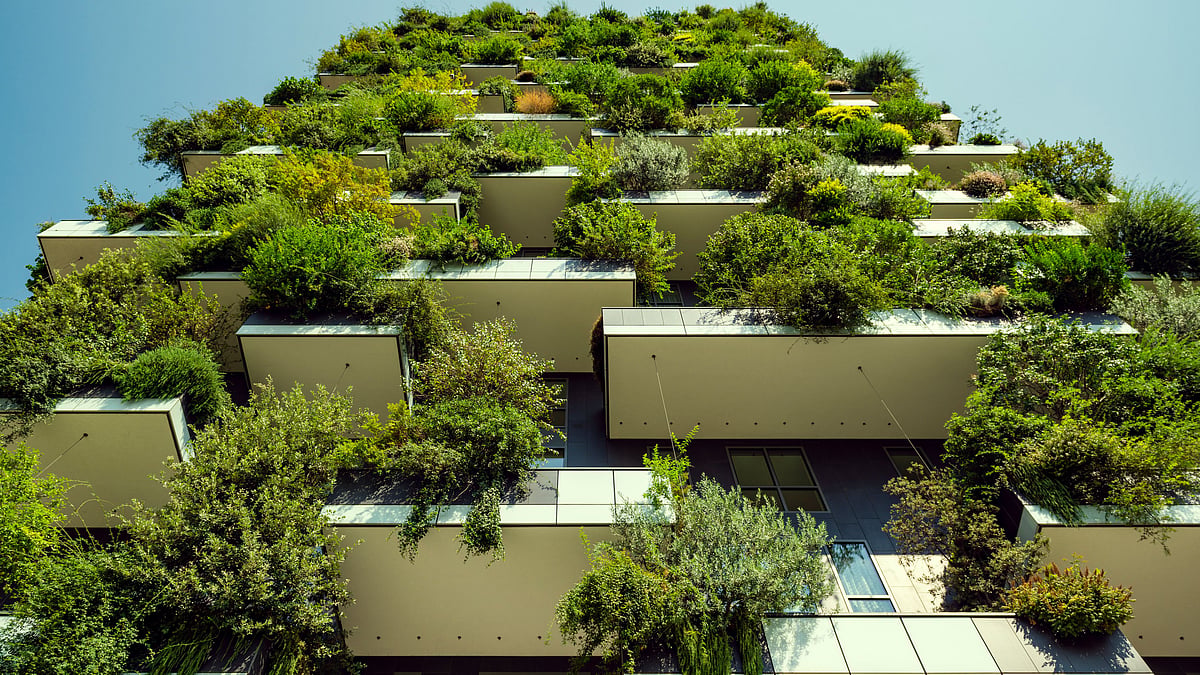 <div class="paragraphs"><p>The outside air is terrible, but are our homes better? </p></div>