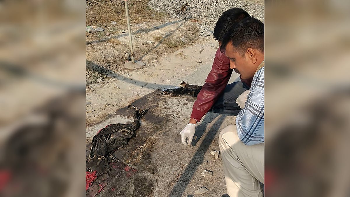 A rape survivor from Unnao in Uttar Pradesh was allegedly set ablaze by five men.