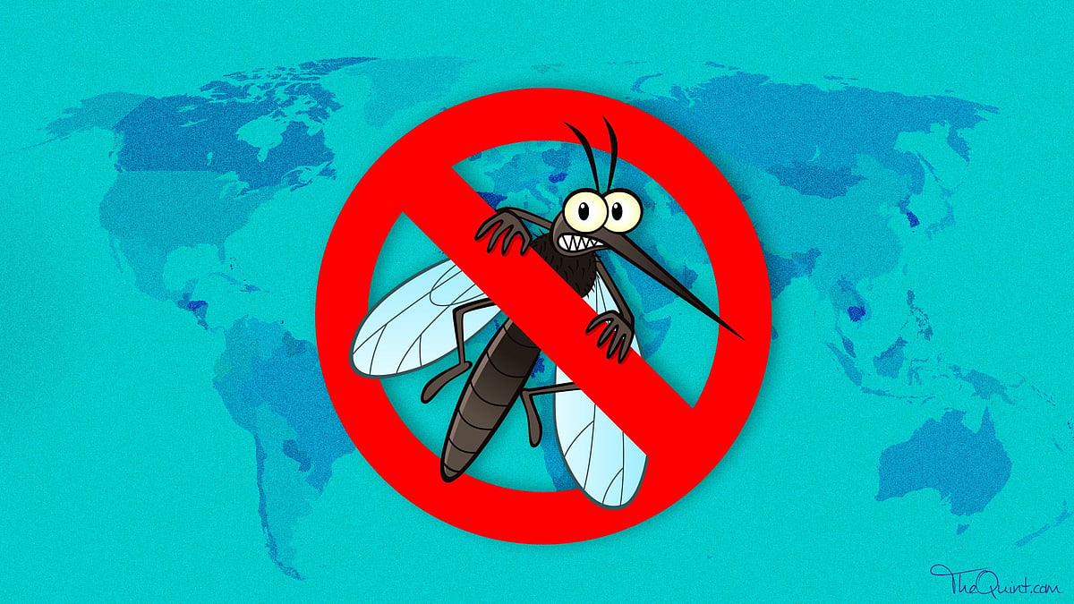 Malaria is one of the world’s leading causes of illness and death, affecting more than 219 million people in 90 countries around the globe.