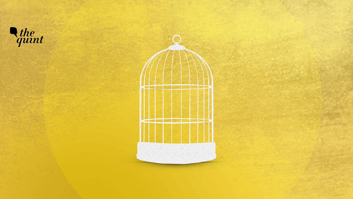 Metaphorical image of ‘honour’ used for representational purposes.